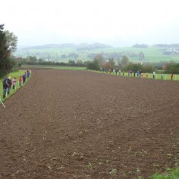 Bünzen - 16.10.10