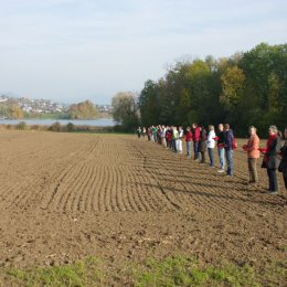 Feldbach 30.10.11